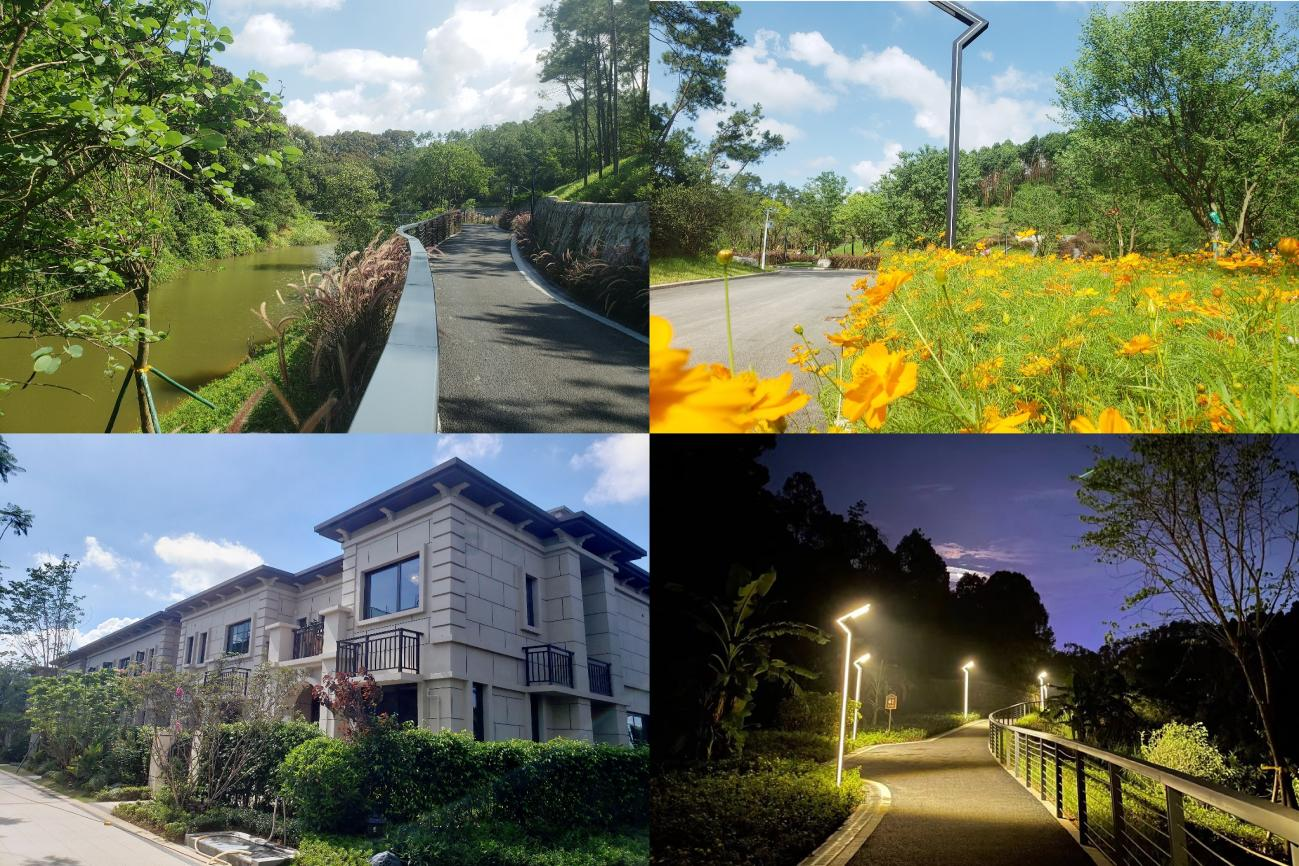 圖片8.png 圖片8.png